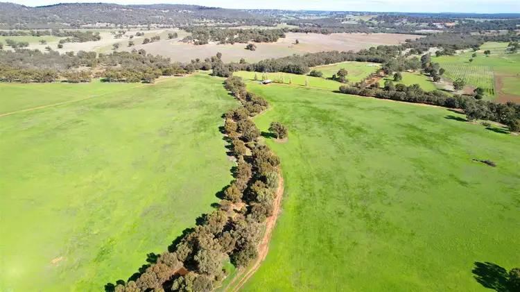 Sixth view of Homely rural property listing, 71 Owen Road, Bindoon WA 6502