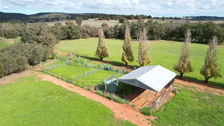 Seventh view of Homely rural property listing, 71 Owen Road, Bindoon WA 6502