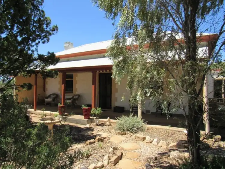 Main view of Homely house listing, 55 Rosa Terrace, Yongala SA 5493