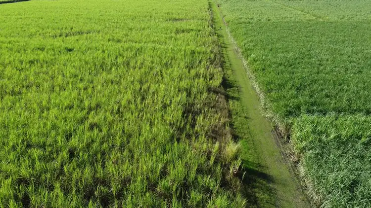 Fifth view of Homely rural property listing, Address available on request