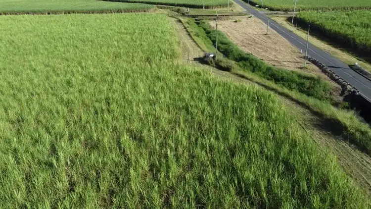 Sixth view of Homely rural property listing, Address available on request