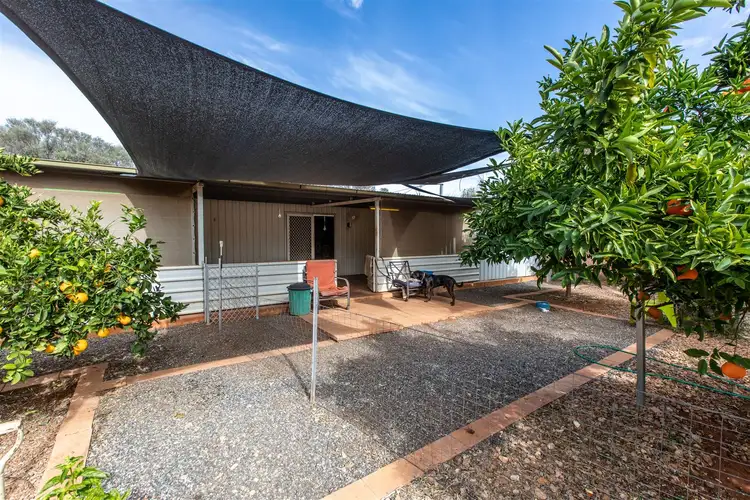Fifth view of Homely rural property listing, 11 Owen Rd, Ilparpa NT 873