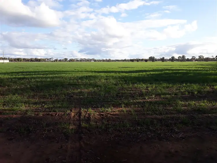 91 Brown Street, Moora WA 6510