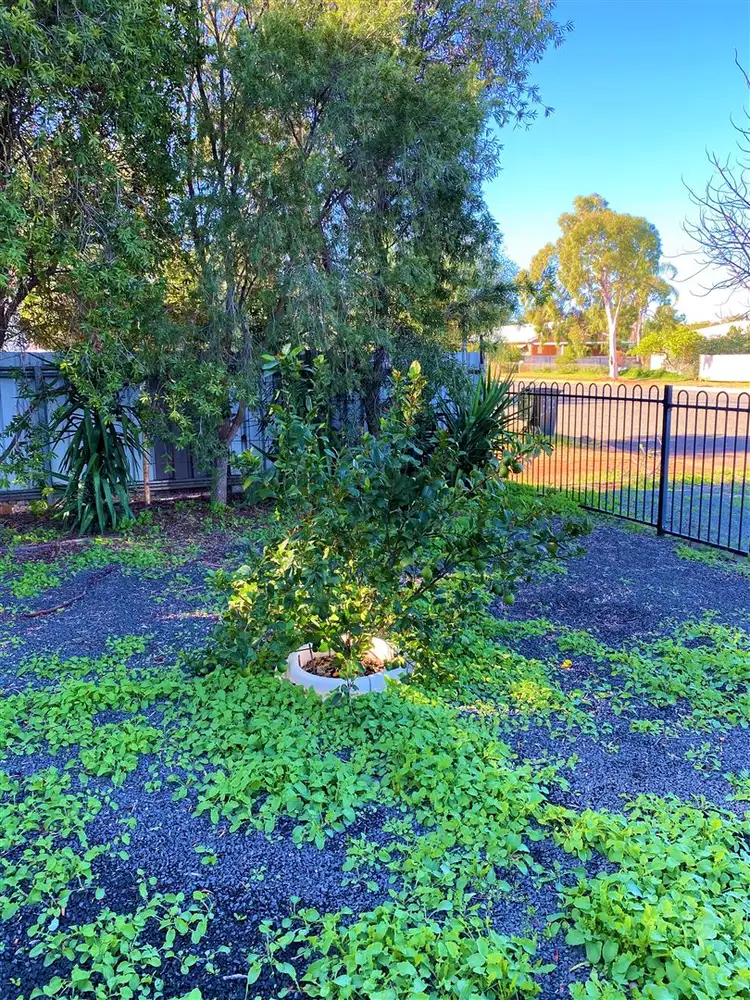Fifth view of Homely house listing, 39 Green Street, Cobar NSW 2835