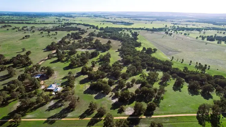 Main view of Homely rural property listing, 136 Wire Road, Muckenburra WA 6503