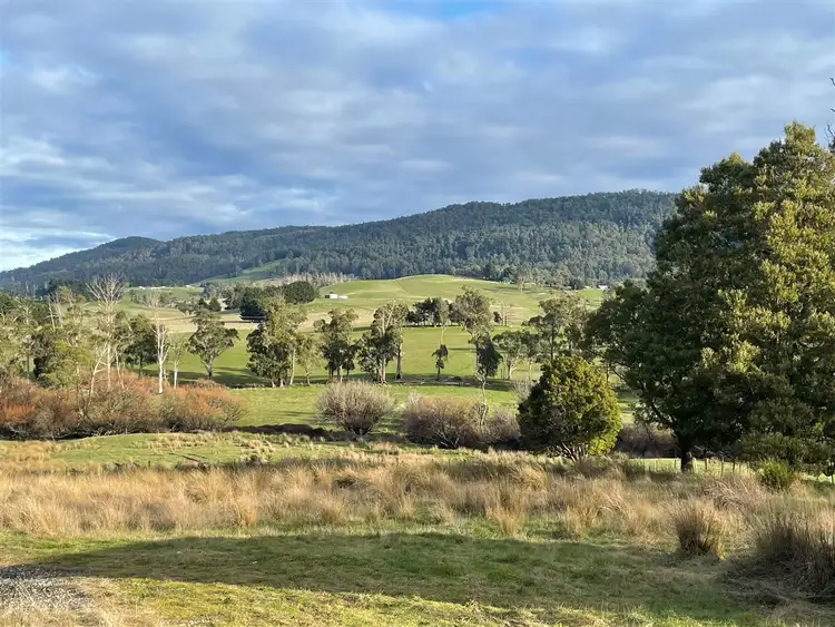 Second view of Homely land listing, 1813 Pipers River Road, Lower Turners Marsh TAS 7267