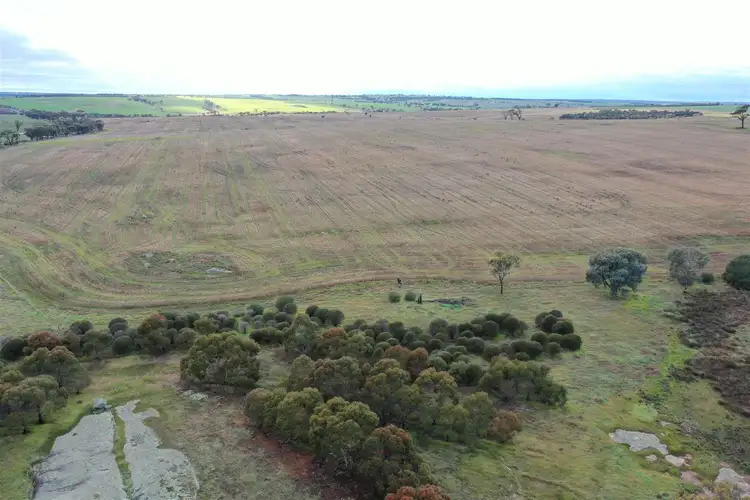 Fourth view of Homely rural property listing, Address available on request