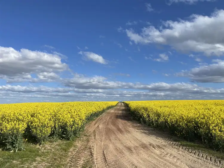 Fourth view of Homely rural property listing, Address available on request