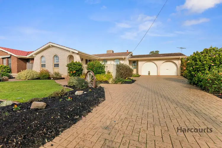 20 McCarthy Avenue, Morphett Vale SA 5162