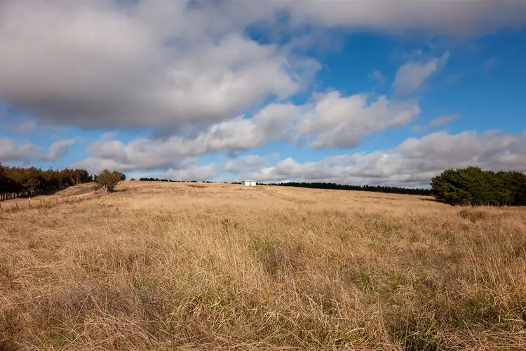 Third view of Homely rural property listing, 8 Merilla Lane, Parkesbourne via, Goulburn NSW 2580