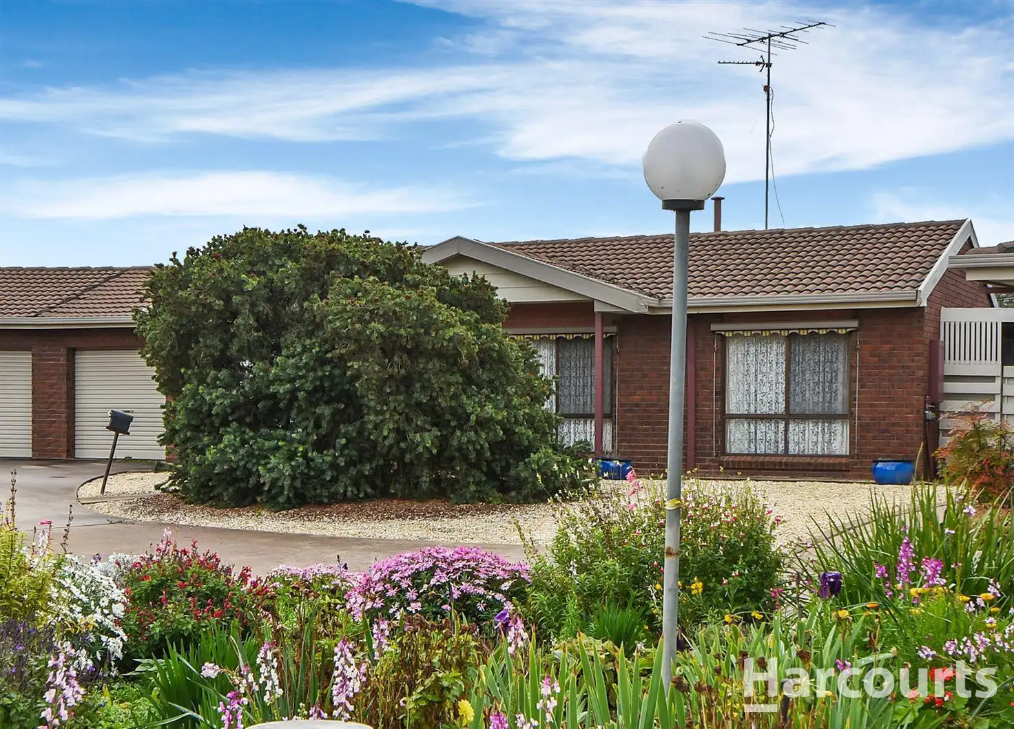 Main view of Homely unit listing, 6 Kurrajong Court, Horsham VIC 3400
