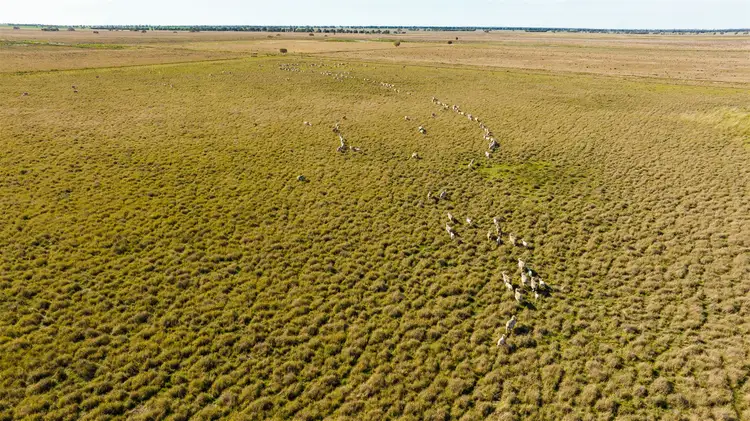 . Lake Road, Urana NSW 2645