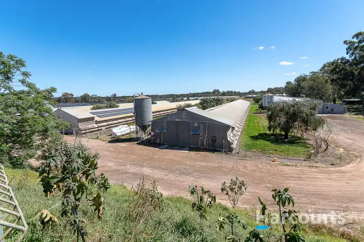 81 Ross Street, Jandabup WA 6077