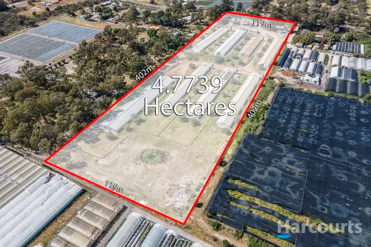Second view of Homely house listing, 81 Ross Street, Jandabup WA 6077