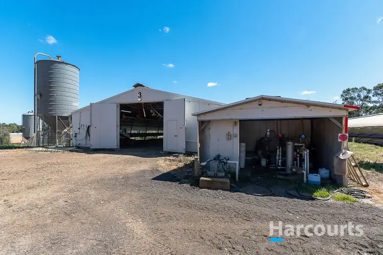 Fourth view of Homely house listing, 81 Ross Street, Jandabup WA 6077