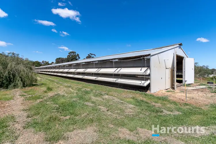 Sixth view of Homely house listing, 81 Ross Street, Jandabup WA 6077