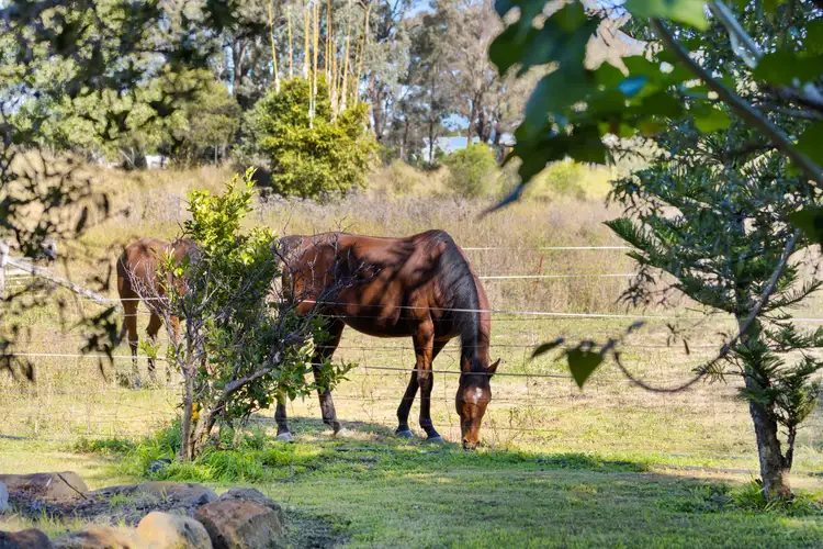 Fifth view of Homely rural property listing, 2413 Kingsthorpe-Haden Road, Goombungee QLD 4354