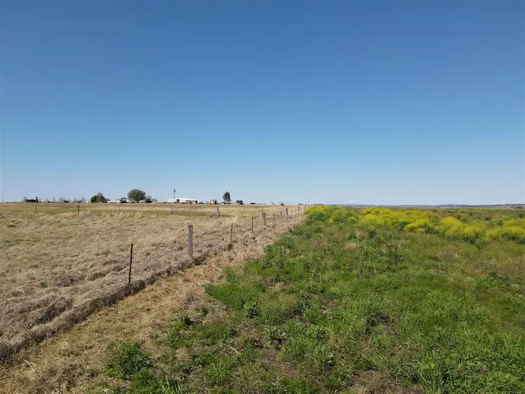 Third view of Homely rural property listing, Lot 56 Free Road, Clifton QLD 4361