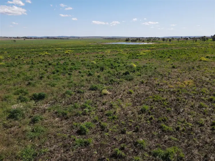 Sixth view of Homely rural property listing, Lot 56 Free Road, Clifton QLD 4361