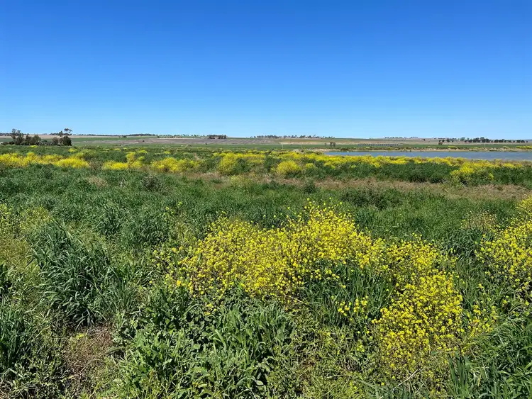Seventh view of Homely rural property listing, Lot 56 Free Road, Clifton QLD 4361