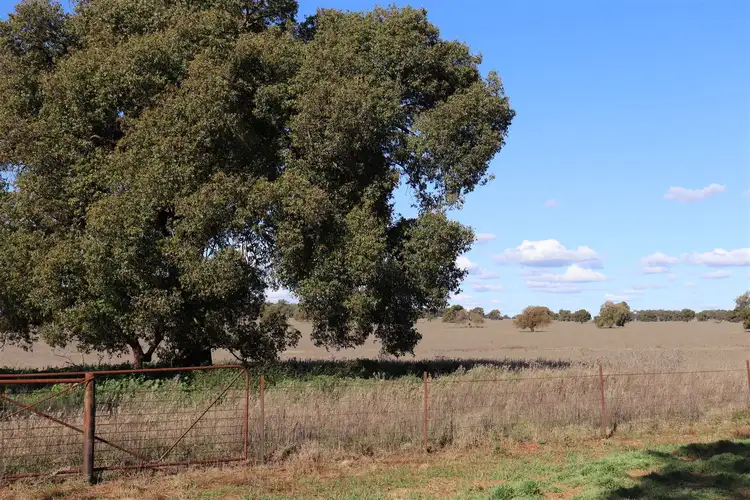 Seventh view of Homely rural property listing, Address available on request