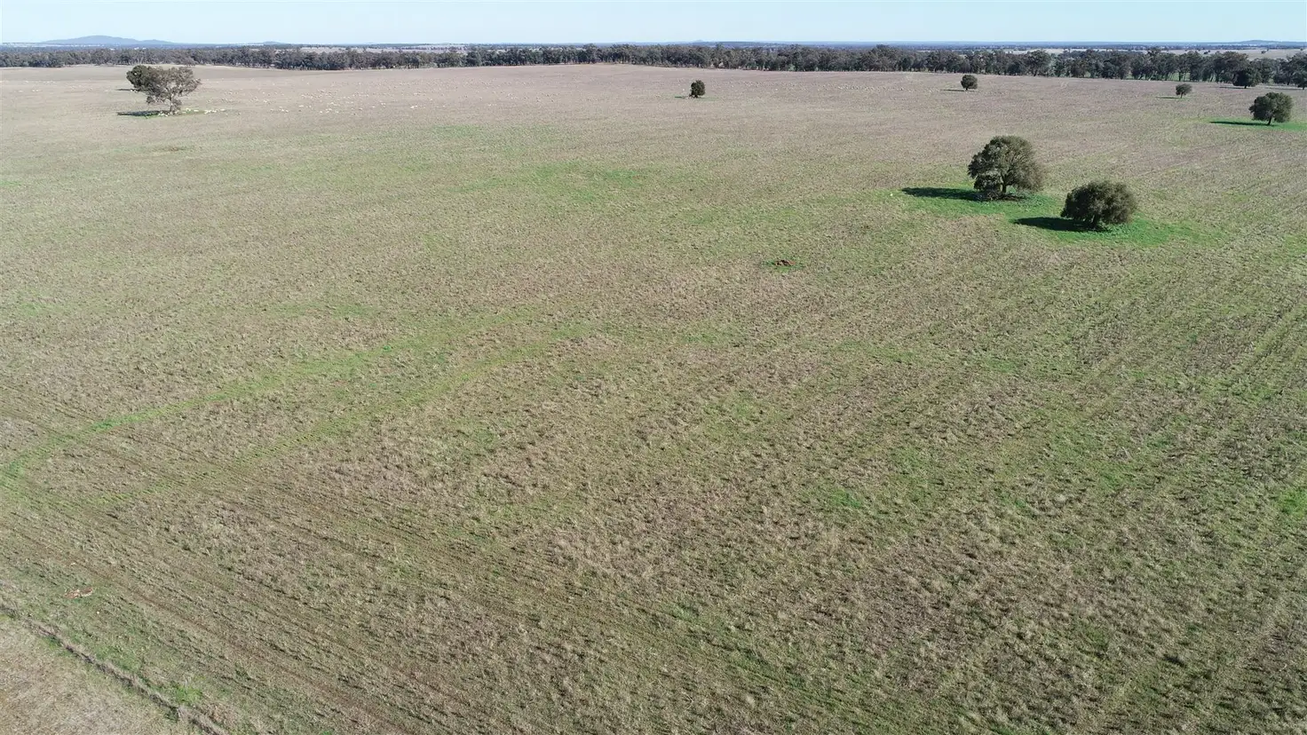 Main view of Homely rural property listing, Address available on request