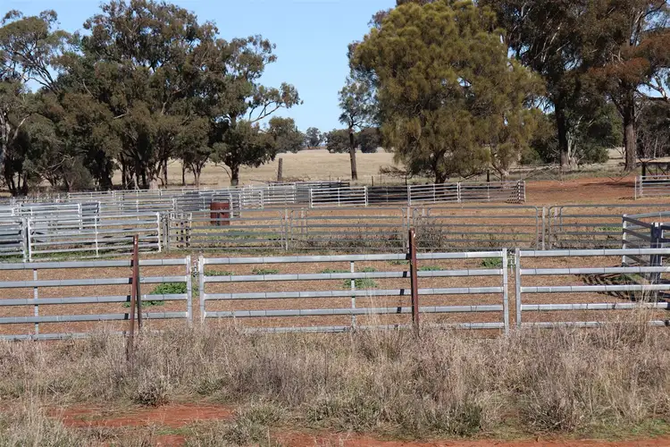 Third view of Homely rural property listing, Address available on request