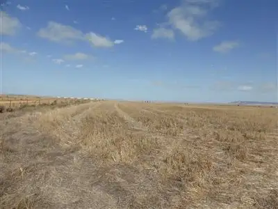 Third view of Homely rural property listing, 81 Wheat Road, Balaklava SA 5461