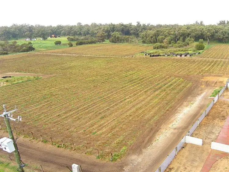 Third view of Homely rural property listing, 219/219L Bernard Road North, Carabooda WA 6033