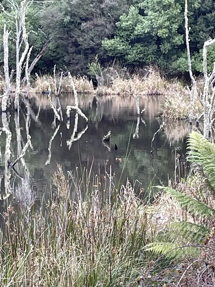 Third view of Homely land listing, 00 Preolenna Road, Preolenna TAS 7325