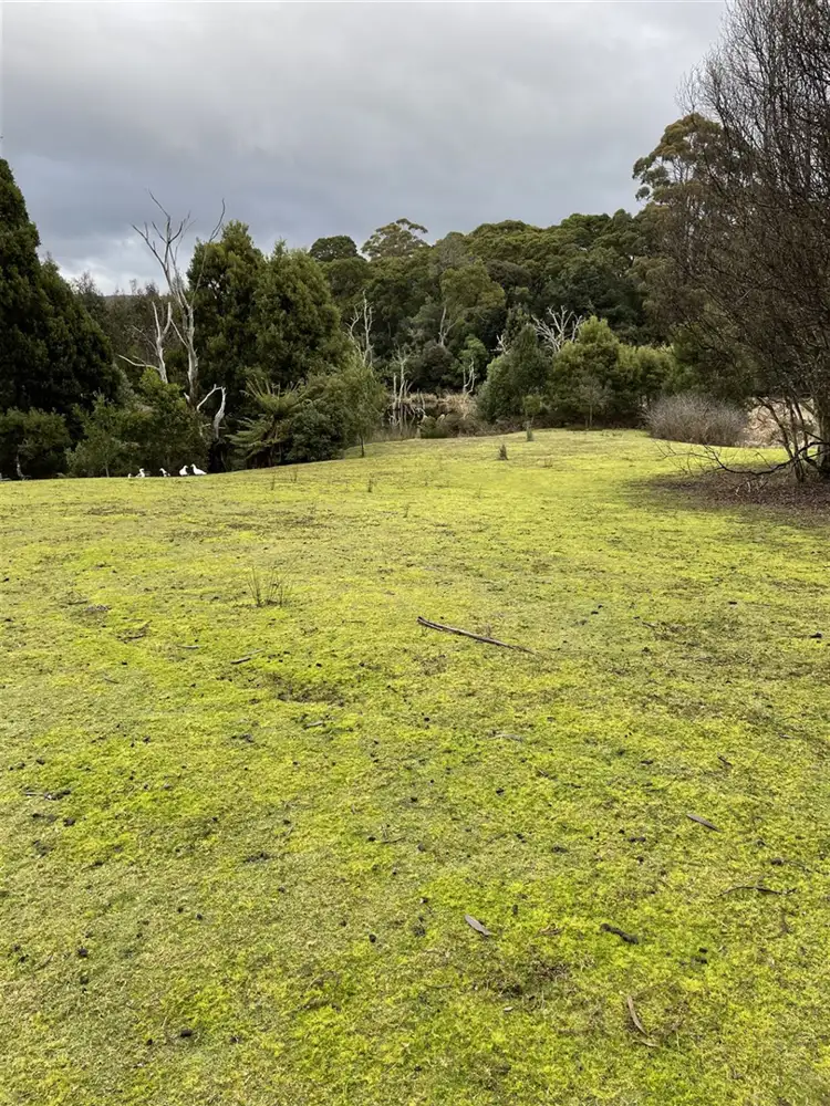 Seventh view of Homely land listing, 00 Preolenna Road, Preolenna TAS 7325