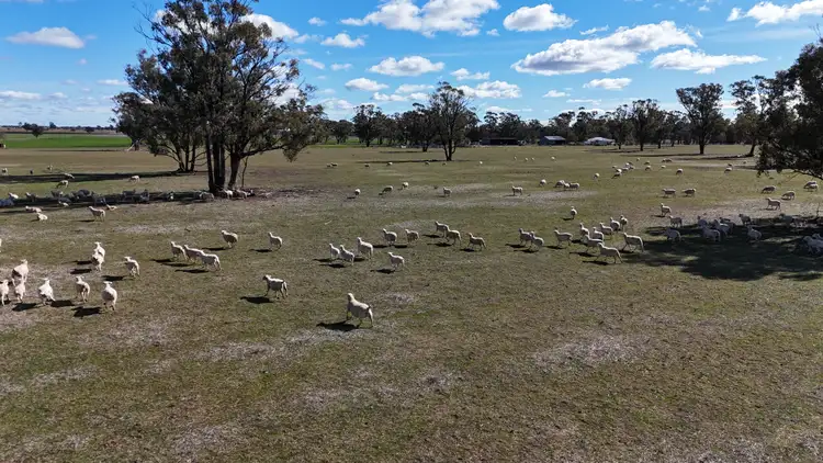987 Boorr Hills Road, Parkes NSW 2870