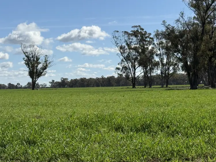Second view of Homely rural property listing, 987 Boorr Hills Road, Parkes NSW 2870