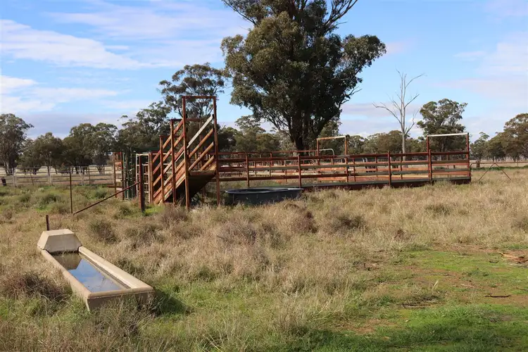 Fourth view of Homely rural property listing, 987 Boorr Hills Road, Parkes NSW 2870