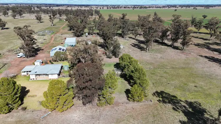 Fourth view of Homely rural property listing, 987 Boorr Hills Road, Parkes NSW 2870