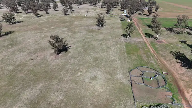Sixth view of Homely rural property listing, 987 Boorr Hills Road, Parkes NSW 2870