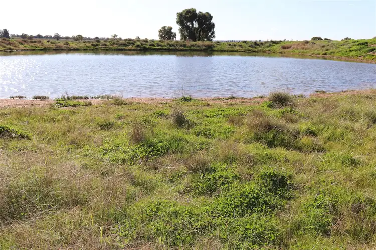Seventh view of Homely rural property listing, 987 Boorr Hills Road, Parkes NSW 2870