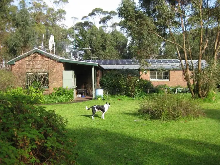 Main view of Homely rural property listing, 91 Old Grassy Road, Nugara TAS 7256