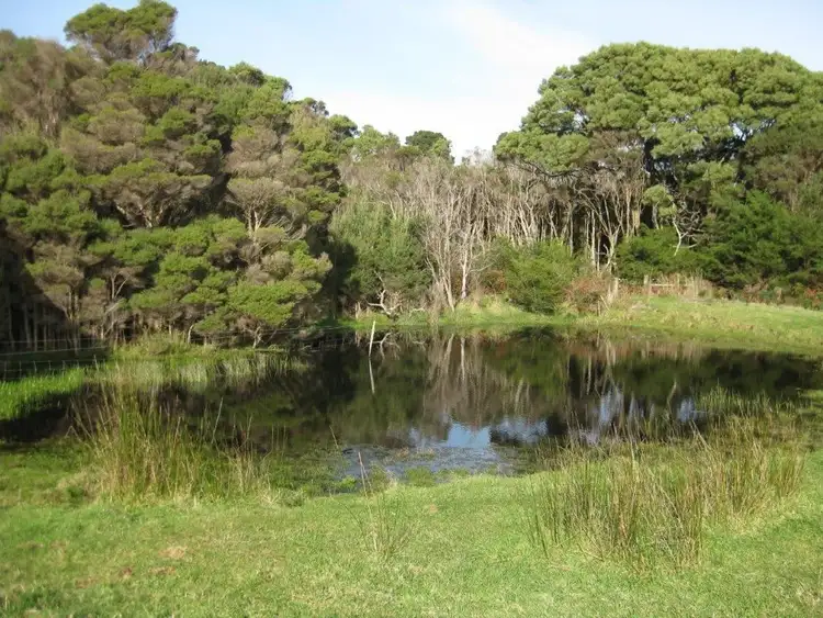 Third view of Homely rural property listing, 91 Old Grassy Road, Nugara TAS 7256