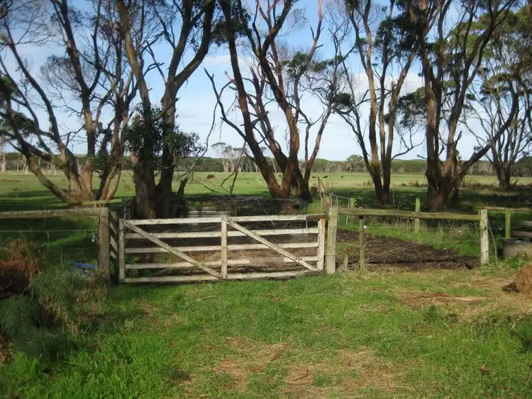 Fifth view of Homely rural property listing, 91 Old Grassy Road, Nugara TAS 7256