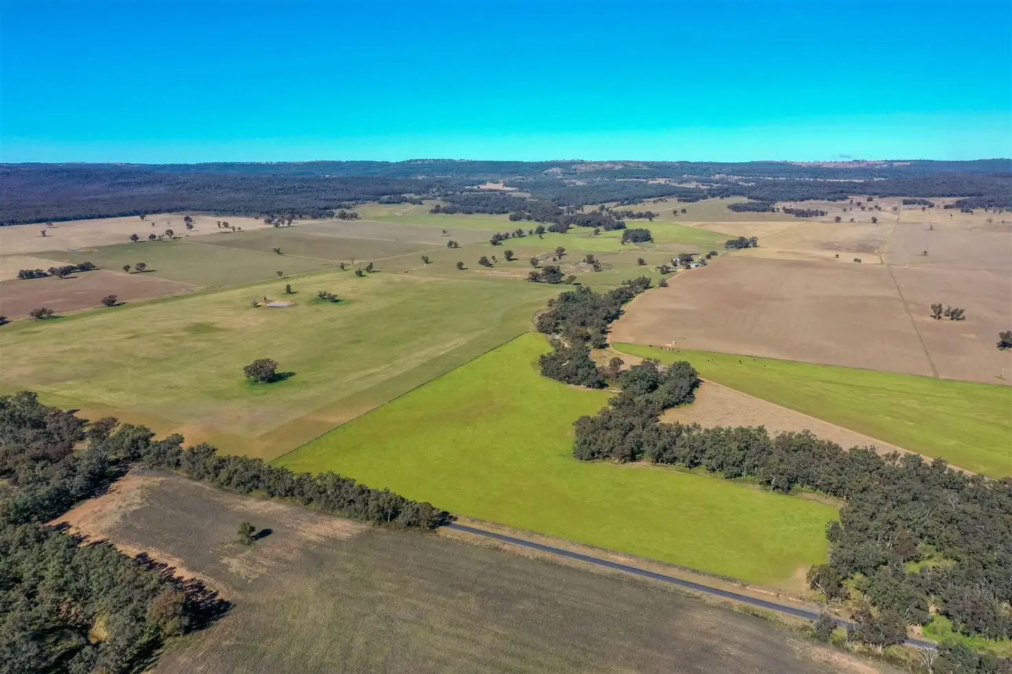 Main view of Homely rural property listing, 'Doona' 2989 Neilrex Rd, Coolah NSW 2843