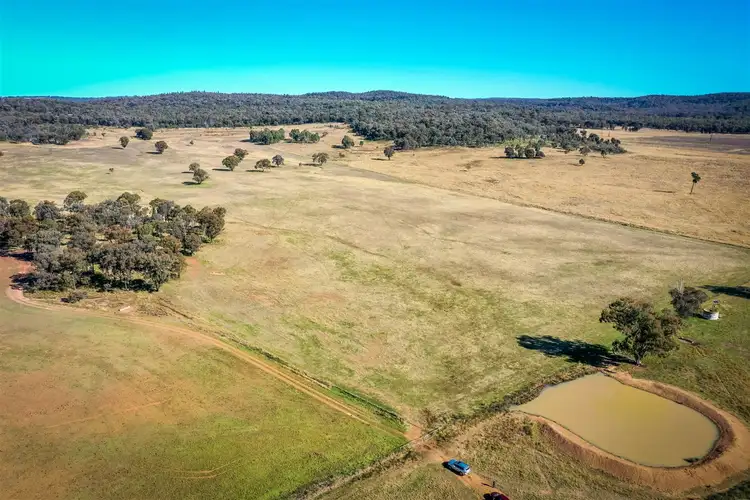 Second view of Homely rural property listing, 'Doona' 2989 Neilrex Rd, Coolah NSW 2843
