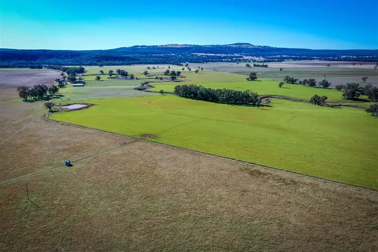 Third view of Homely rural property listing, 'Doona' 2989 Neilrex Rd, Coolah NSW 2843