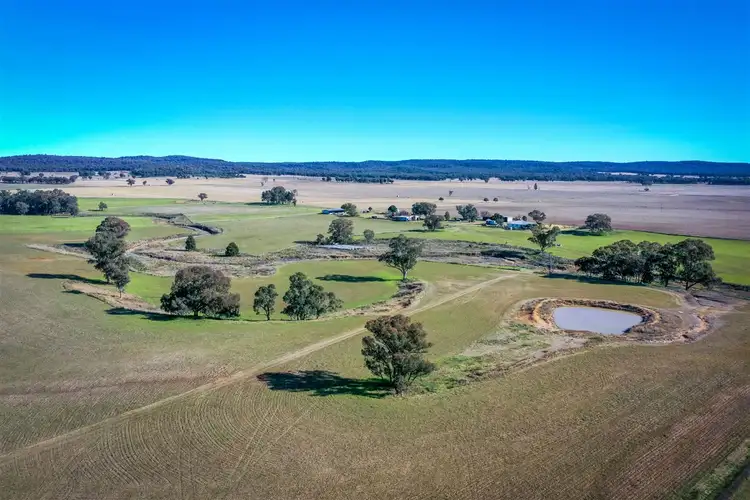 Sixth view of Homely rural property listing, 'Doona' 2989 Neilrex Rd, Coolah NSW 2843