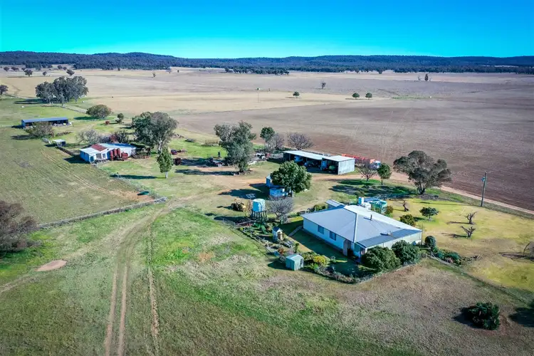 Seventh view of Homely rural property listing, 'Doona' 2989 Neilrex Rd, Coolah NSW 2843