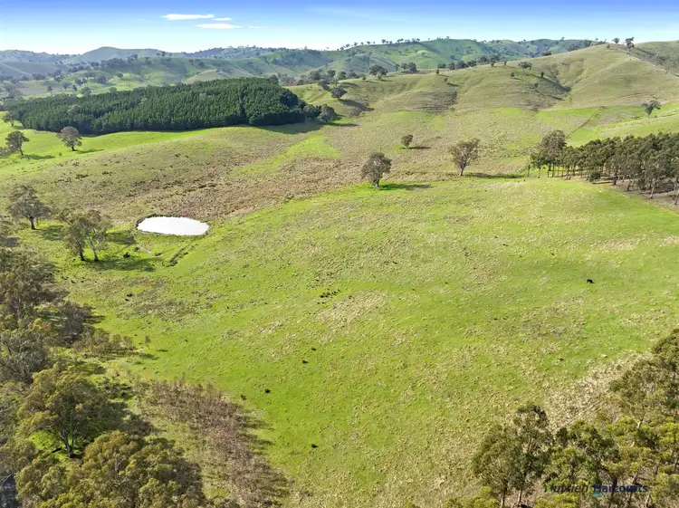 Main view of Homely rural property listing, 7212 Maroondah Highway, Yarck VIC 3719