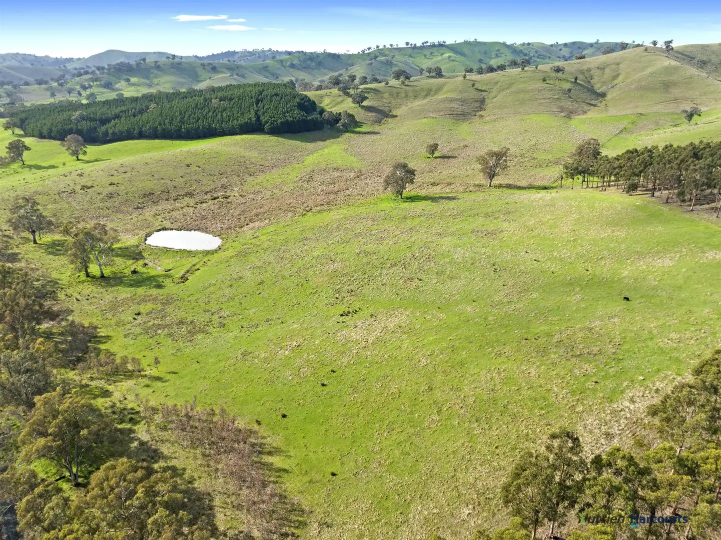 Main view of Homely rural property listing, 7212 Maroondah Highway, Yarck VIC 3719