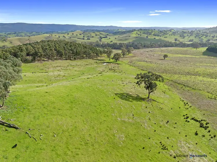 Second view of Homely rural property listing, 7212 Maroondah Highway, Yarck VIC 3719