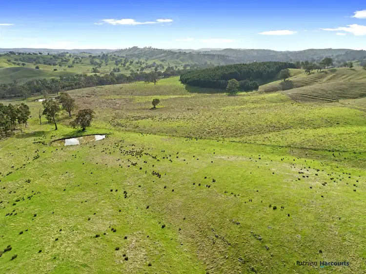 Fourth view of Homely rural property listing, 7212 Maroondah Highway, Yarck VIC 3719