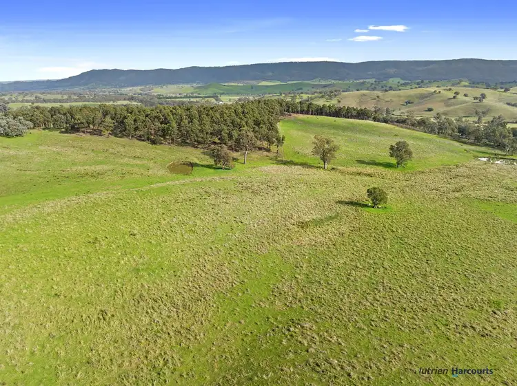 Fifth view of Homely rural property listing, 7212 Maroondah Highway, Yarck VIC 3719